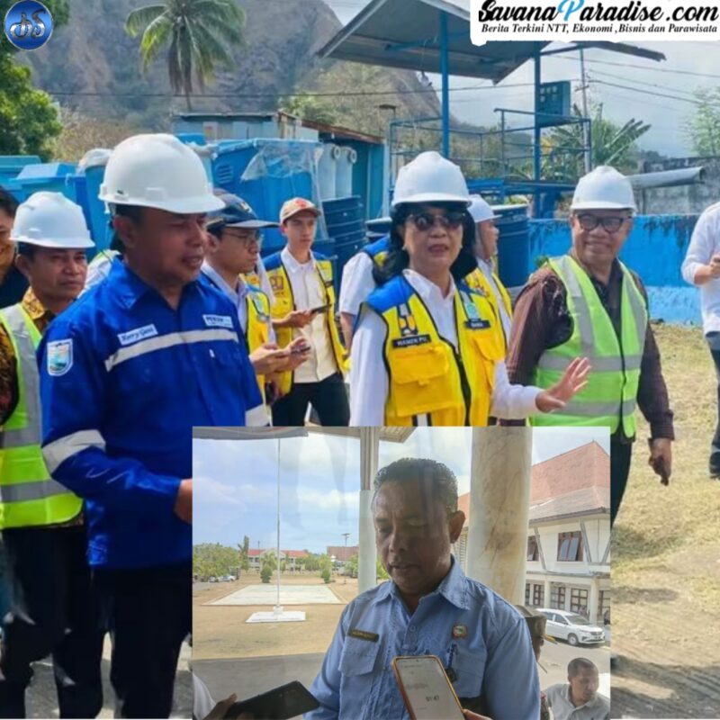 Wamen PU RI Ir. Diana Kusumastuti, M.T tinjau Perumda Tirta Kelimutu didampingi Wakil Bupati Ende, Dominikus Minggu Mere, dan Direktur Perumda, Heribertus Gani (Foto: Mateus Bheri/SP)