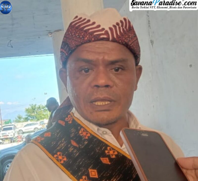 Anggota DPRD Kabupaten Ende, Anselmus Kaise (Foto: Mateus Bheri/SP)