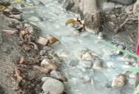 Diduga Limbah Cair yang berasal Pabrik Tempe Tahu (Mateus Bheri/SP)