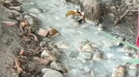 Diduga Limbah Cair yang berasal Pabrik Tempe Tahu (Mateus Bheri/SP)