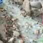 Diduga Limbah Cair yang berasal Pabrik Tempe Tahu (Mateus Bheri/SP)